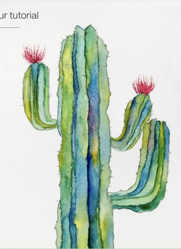 a watercolor painting of a cactus with red flowers