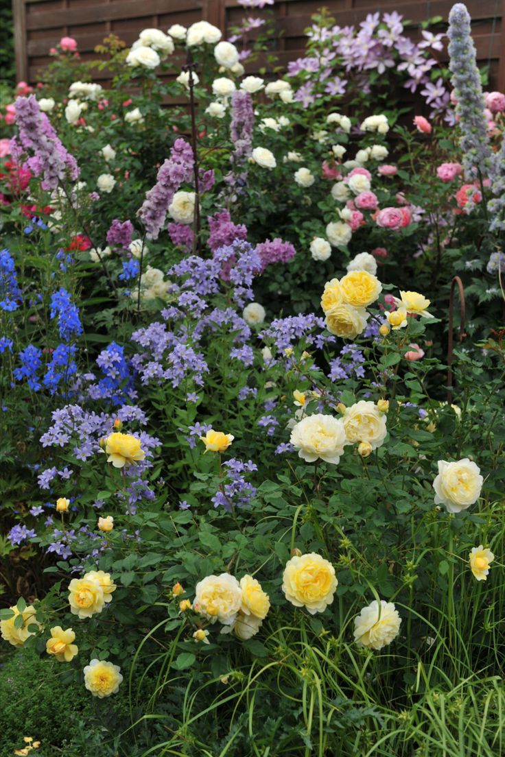 a garden filled with lots of different colored flowers