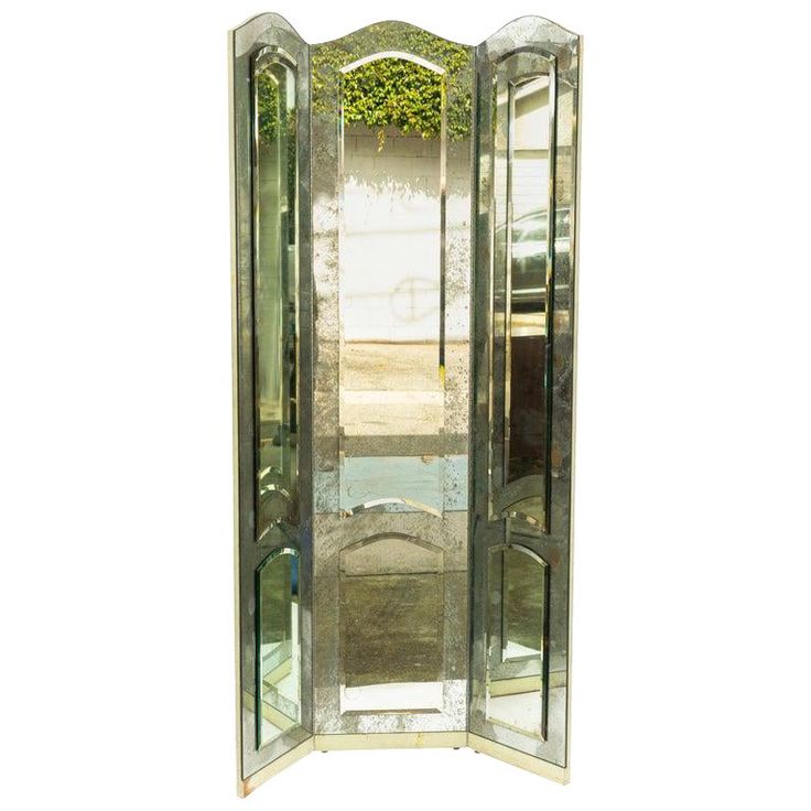 an antique mirrored room divider in the shape of a door with green plants growing out of it