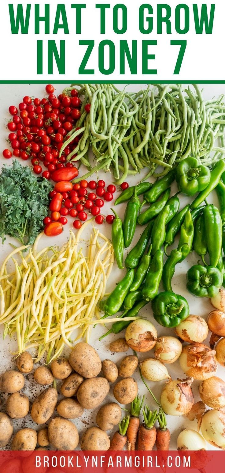 vegetables are laid out on a table with text overlay that says, october vegetable garden