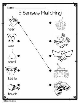 the five senses matching worksheet for children to learn how to read and draw