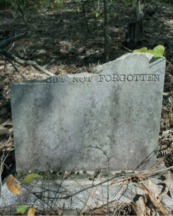 a headstone sits in the woods near some trees