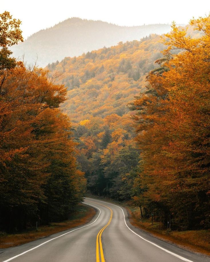 an empty road surrounded by trees with yellow and orange leaves on the sides, in front of a mountain range