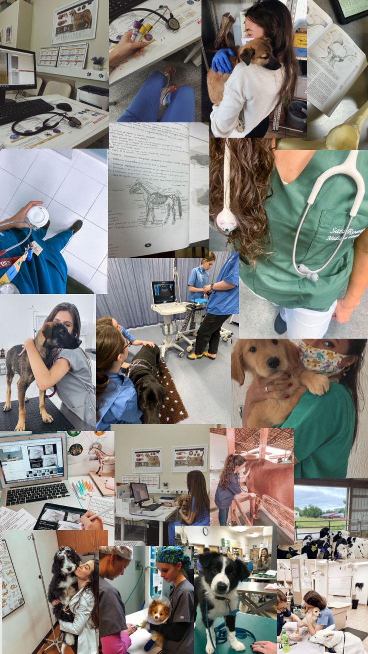 a collage of photos with dogs and people