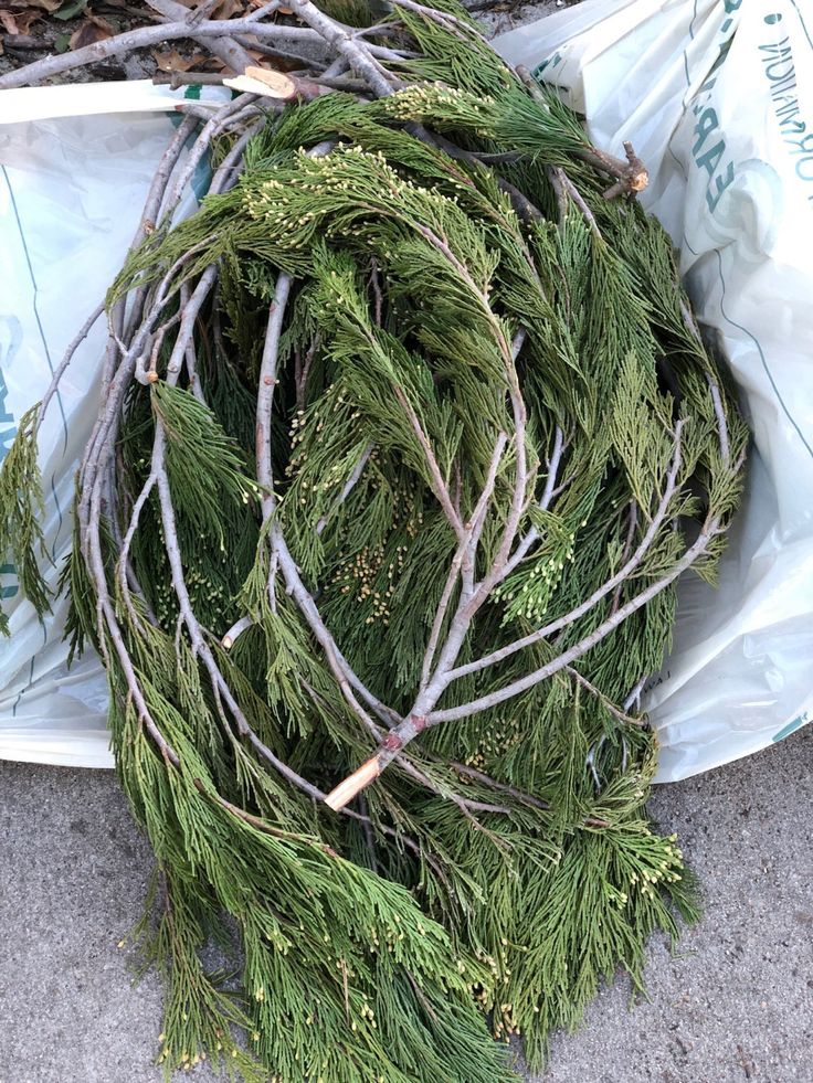 a bunch of branches laying on the ground next to a bag full of leaves and twigs