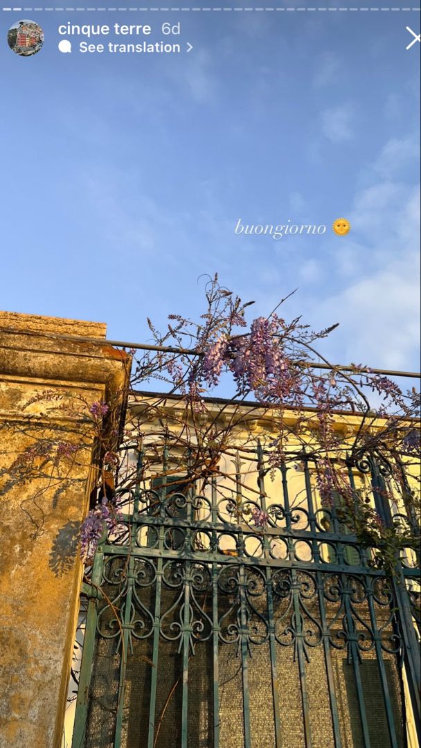 an iron gate with purple flowers growing on it and the sky in the back ground