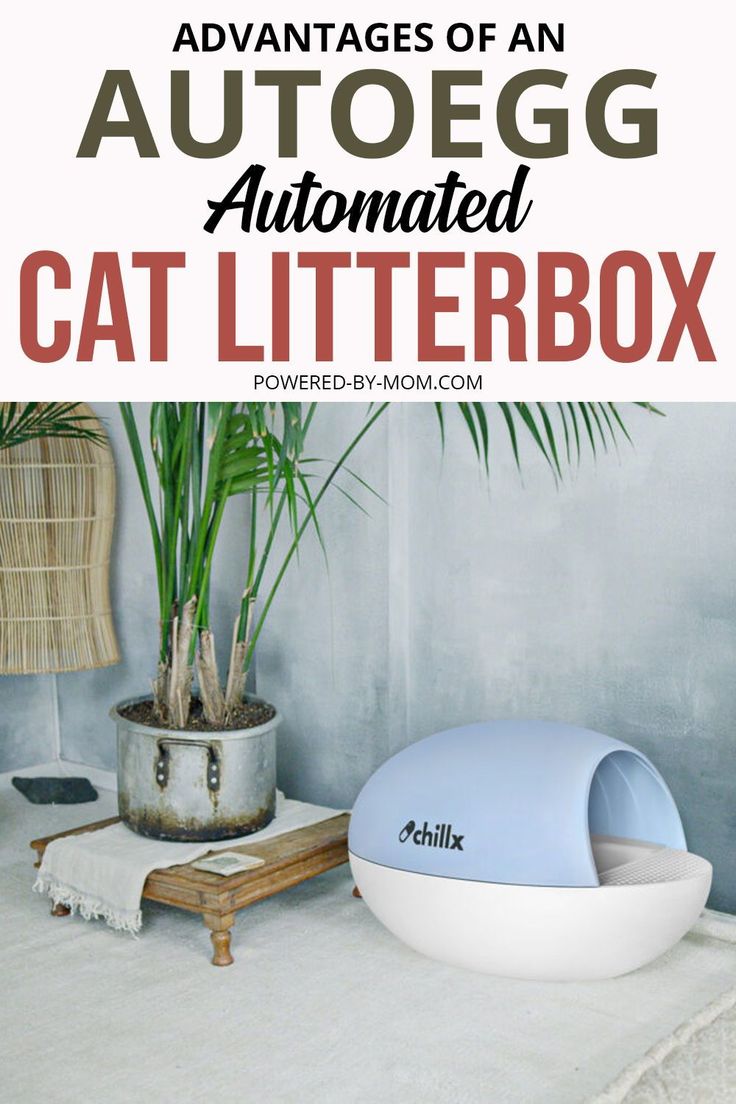 an automatic cat litter box is shown with text overlay that reads, advantages of an autoeg automated cat litter box