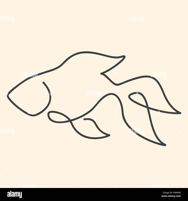 a line drawing of a fish on a white background - stock image and clipping