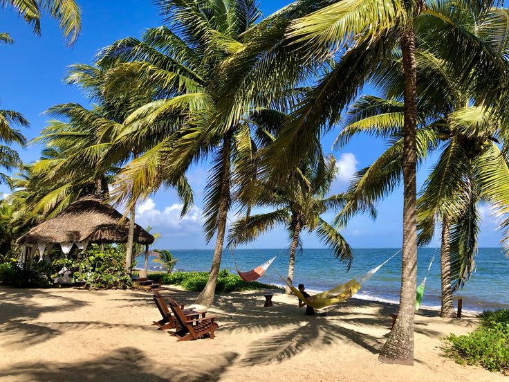 hammocks and chairs on the beach with palm trees