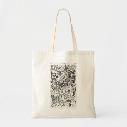 Vintage_Lover: Products on Zazzle Dance Tote Bag, Winter Tote, Vintage Sweets, Rose Tote Bag, Lake Garda Italy, Sun Valley Idaho, Art Tote Bag, Vintage Lover, Vintage Travel Posters