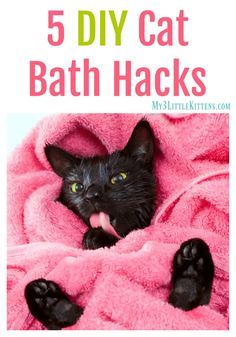 a black cat laying in a pink blanket with the words 5 diy cat bath hacks