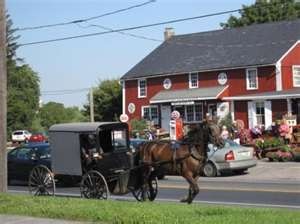 a horse pulling a carriage down the street in front of a red building with shops on it