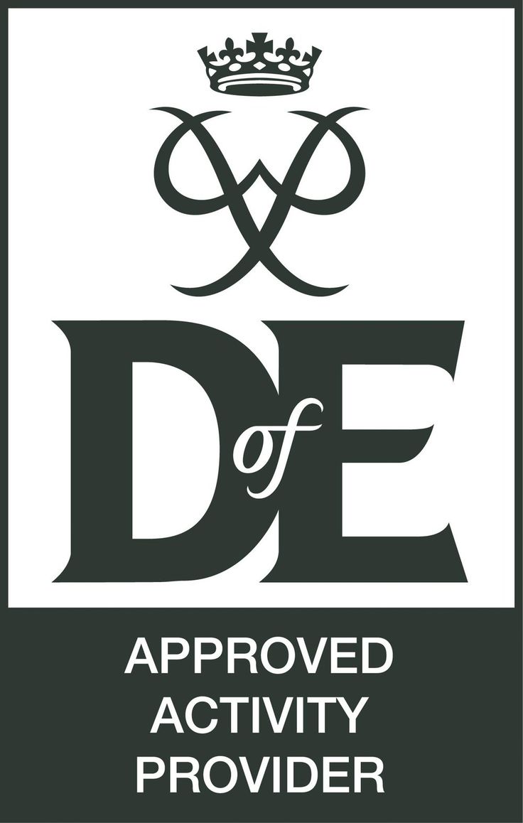 the df approved activity logo is black and white, with an image of a crown above it