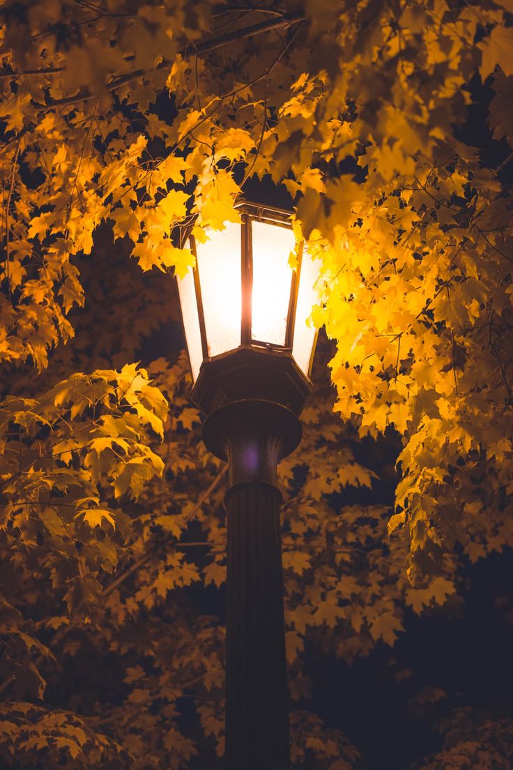 a street light in front of some trees with bright yellow leaves on it's branches