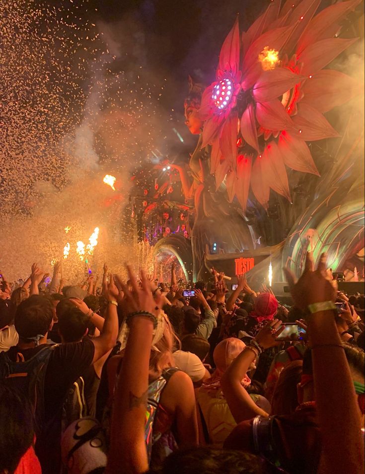 a large group of people at a concert with fireworks in the air