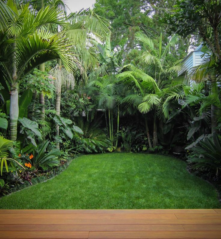 a lush green garden with lots of trees and plants