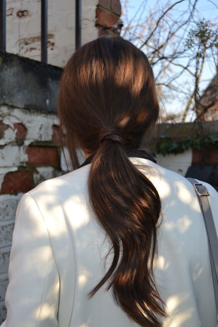 Soft Low Ponytail, Low Pony With Front Pieces, Brunette Hair Ponytail, Low Ponytail Aesthetic, Brown Hair Low Ponytail, Light Brown Hair Ponytail, Low Pony Tailed Hairstyle, Loose Low Ponytail, Ponytail Brown Hair