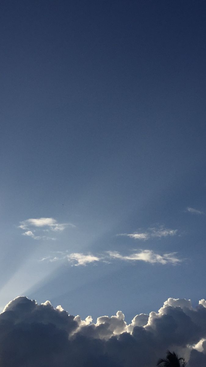 the plane is flying high in the sky above the clouds and palm trees on the beach