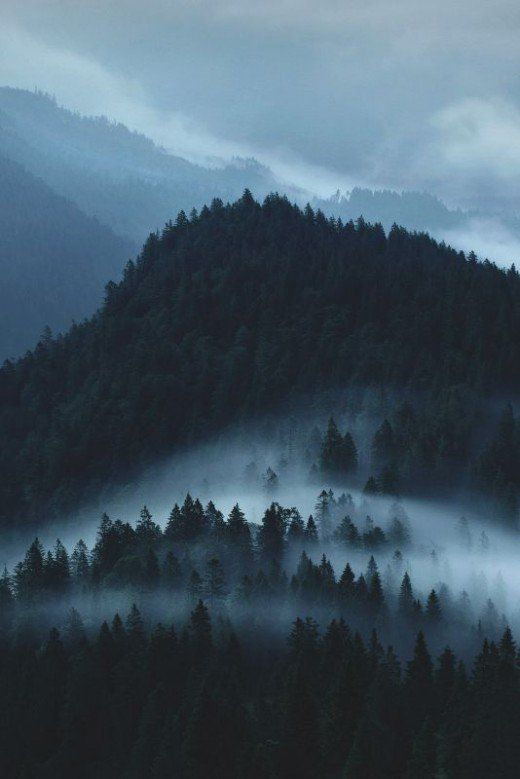 fog is covering the trees and mountains in this dark, misty landscape with low lying clouds