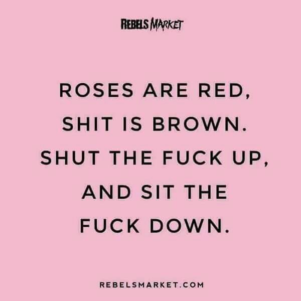 Roasting Quotes Words, Funny Quotes Sarcasm Memes, Mean Poems Funny, By The Power Vested In Me Quotes, Funny Quotes For Wallpaper, Roasting Quotes Hilarious, Fun Sarcastic Quotes, Roast Quotes Funny, Funny Quotes To Live By