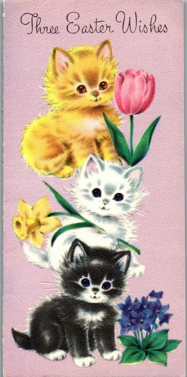 three easter wishes with kittens and tulips on a pink background, in the center is an image of flowers