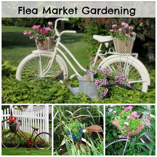 several pictures of different types of flowers and bicycles