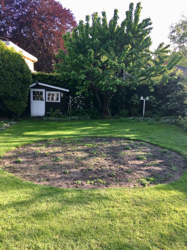 a yard with a shed and trees in the background