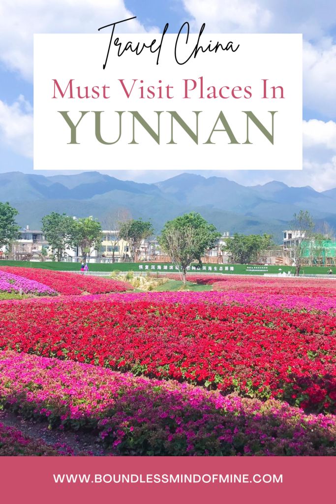 colorful flower field with text overlay that reads travel china must visit places in yunnan