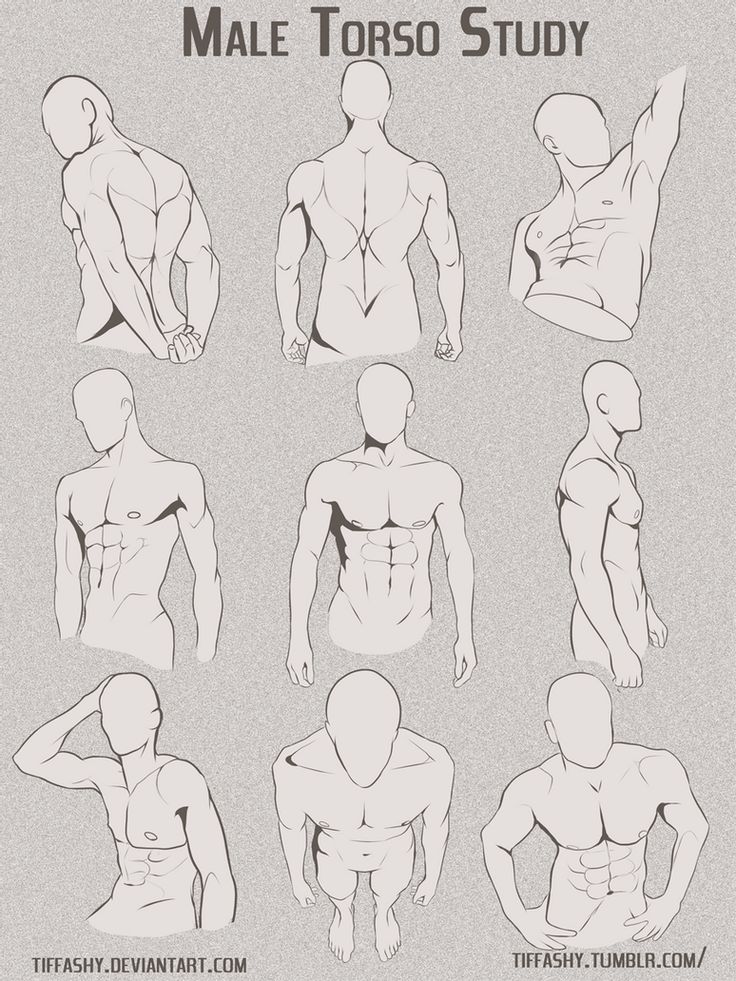 the male torso is shown with different angles and positions for each individual to move around