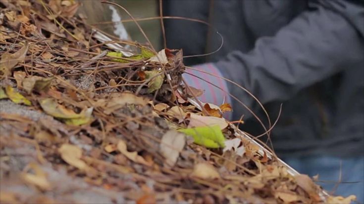 a man is standing next to a pile of leaves