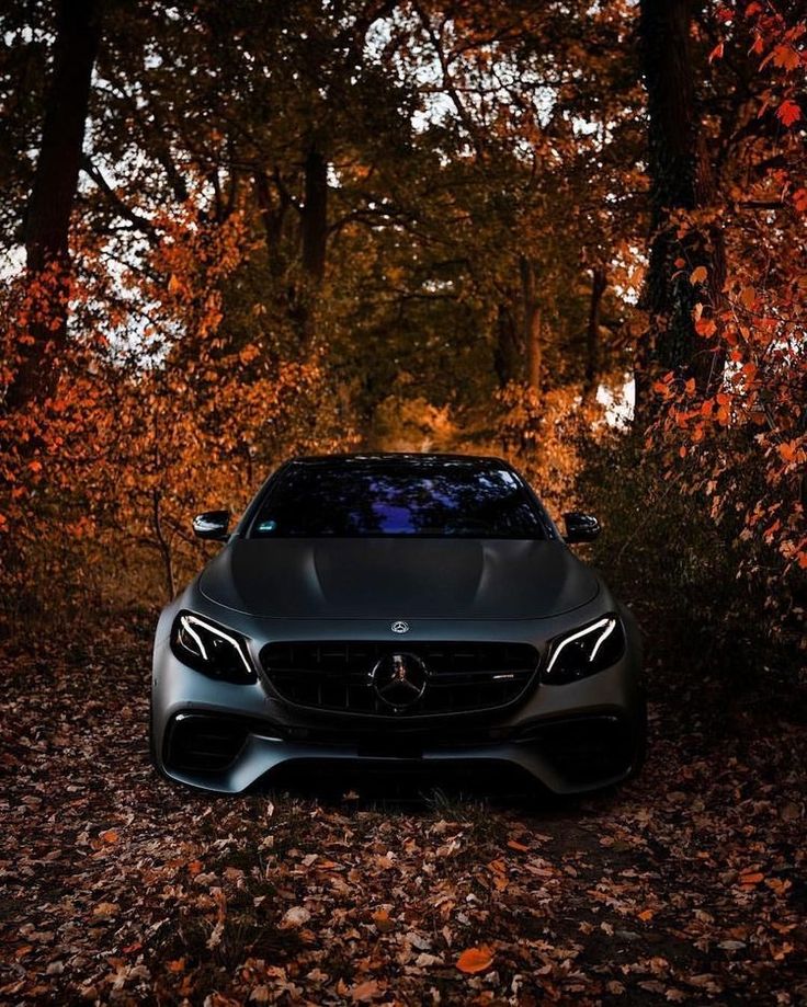 a car parked in the middle of some leaves