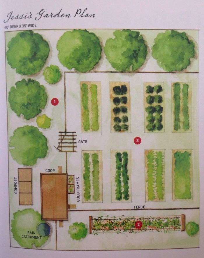 a garden plan is shown with trees, bushes and other things to see on the map