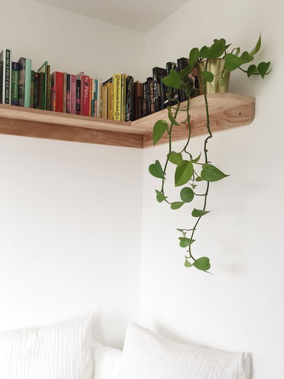 a bed with white sheets and books on the shelves above it, along with a green plant