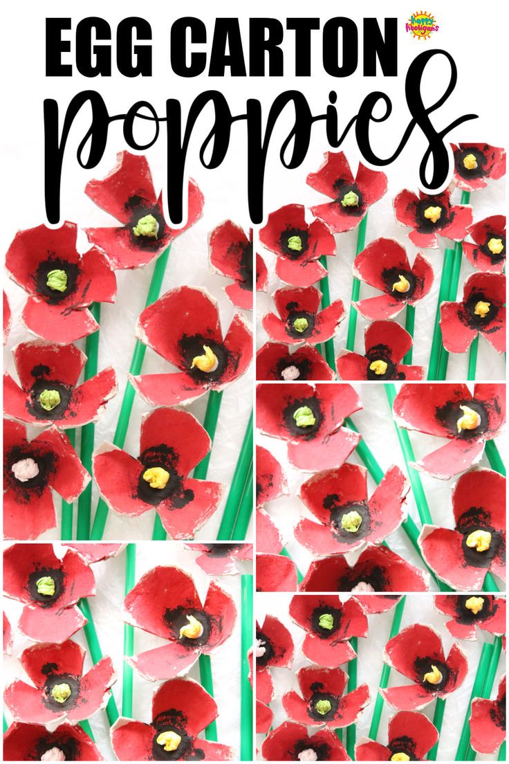 an egg carton poppies craft is shown