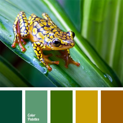 a frog sitting on top of a green leaf next to a color swatch with the words in bold colors below it