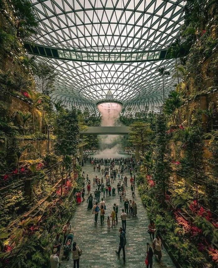 people are walking through an indoor garden with plants growing on the walls and in the ceiling