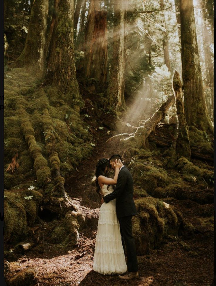 a bride and groom standing in the middle of a forest with sun shining through the trees