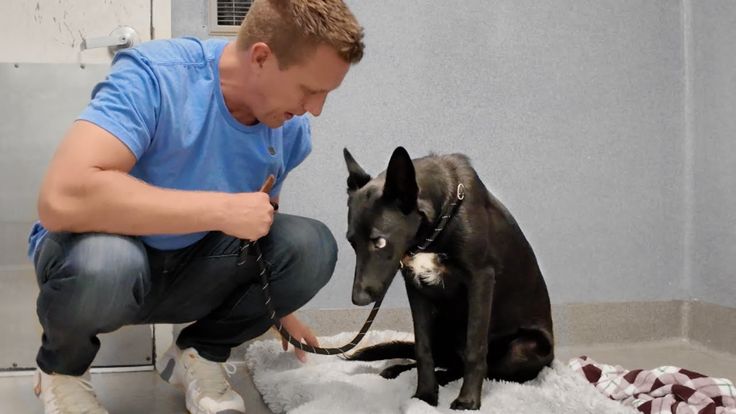 a man kneeling down next to a black dog