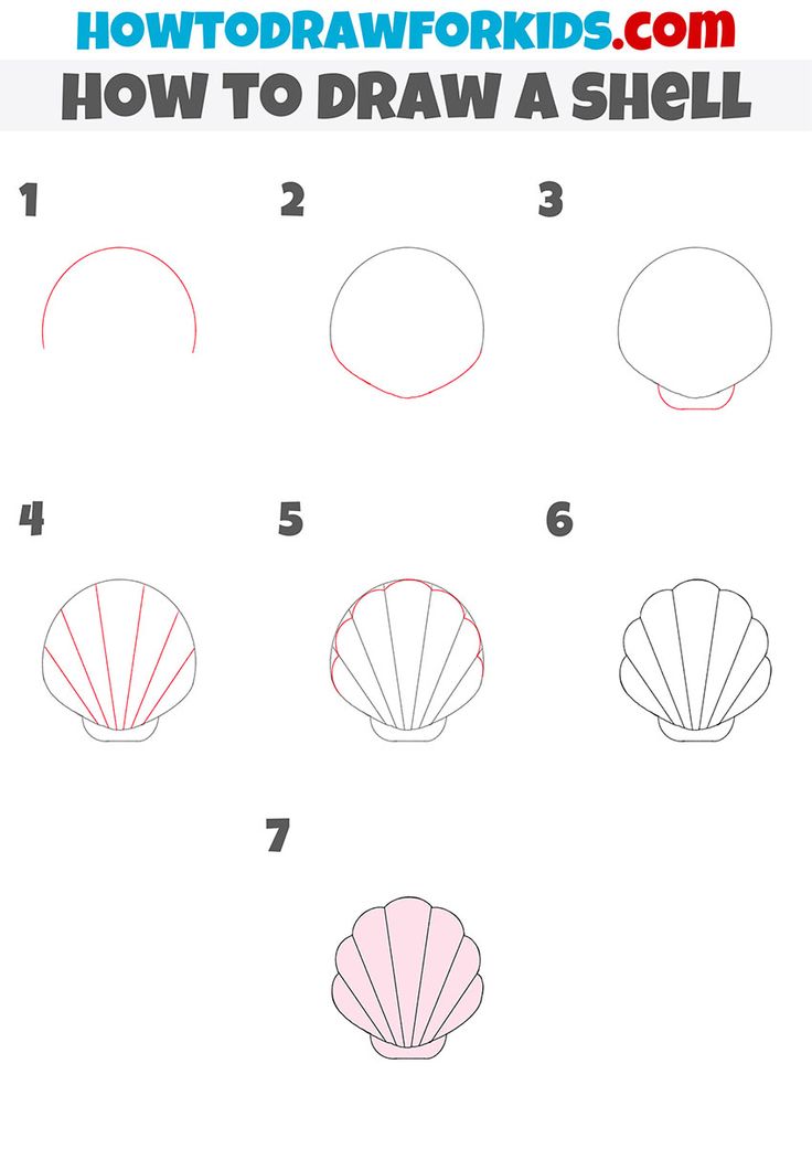 how to draw a shell step by step instructions for kids and beginners with pictures