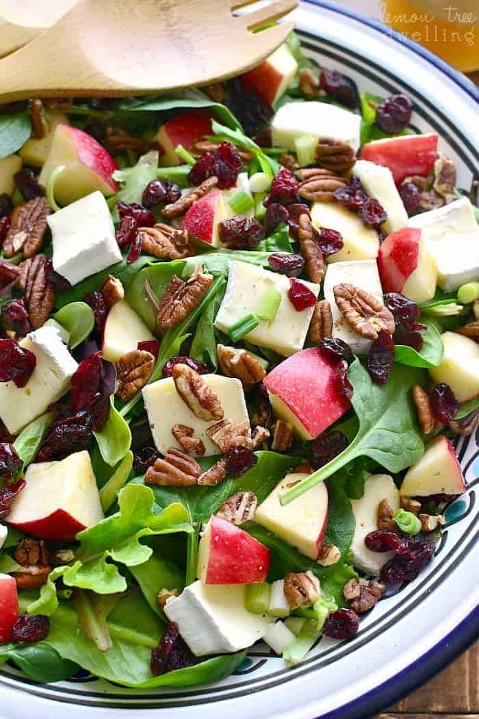 a salad with apples, cranberries and pecans