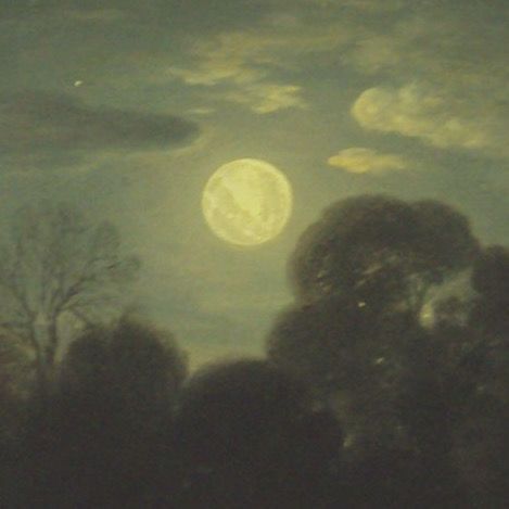 the full moon shines brightly in the sky above some trees and bushes on a cloudy night