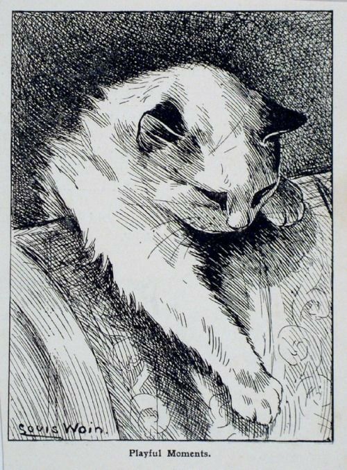 a black and white drawing of a cat