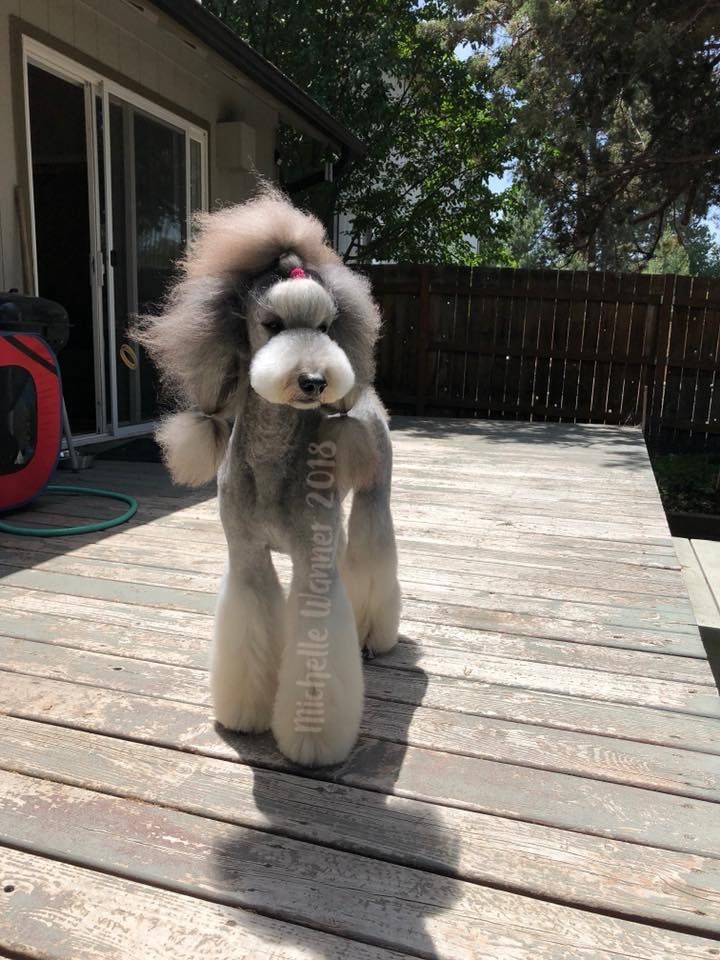 a stuffed dog is standing on a wooden deck