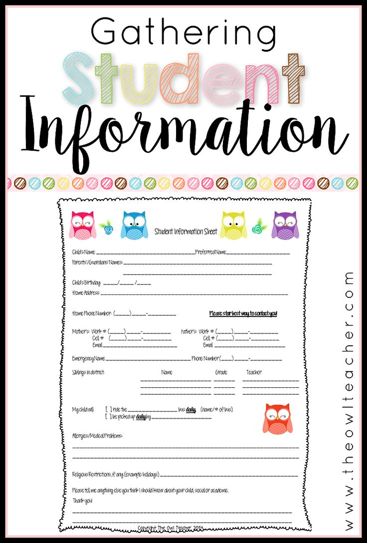 a student information sheet with owls on it and the words gathering student information in front