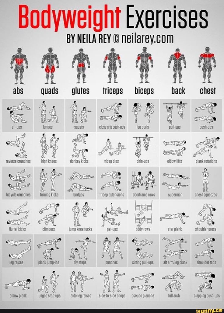 the bodyweight exercises poster is shown