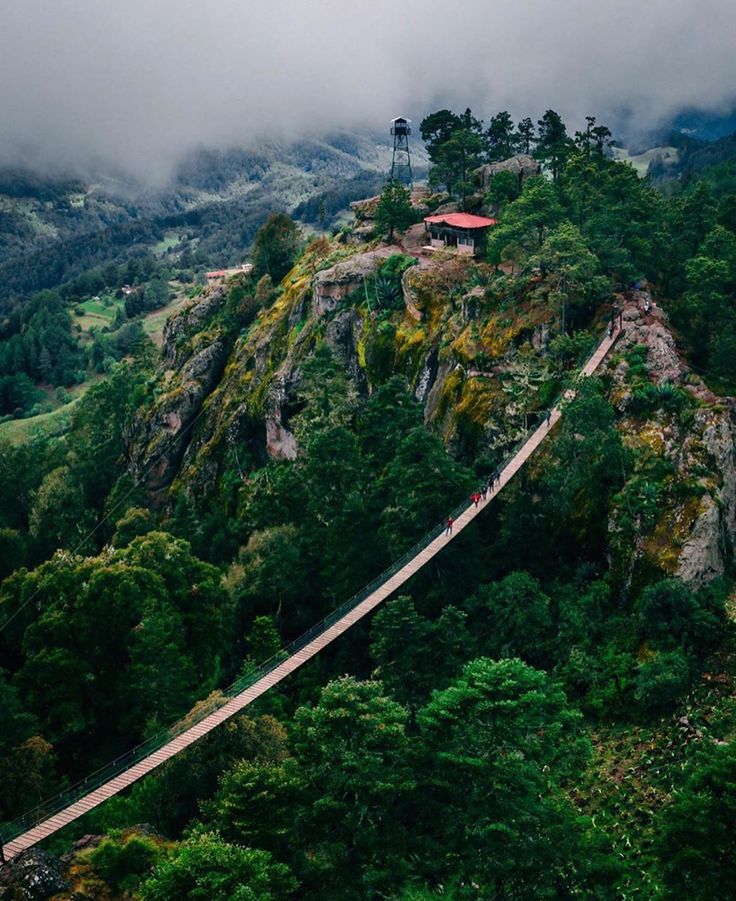 an aerial view of a mountain with a suspension bridge in the foreground and trees on the other side