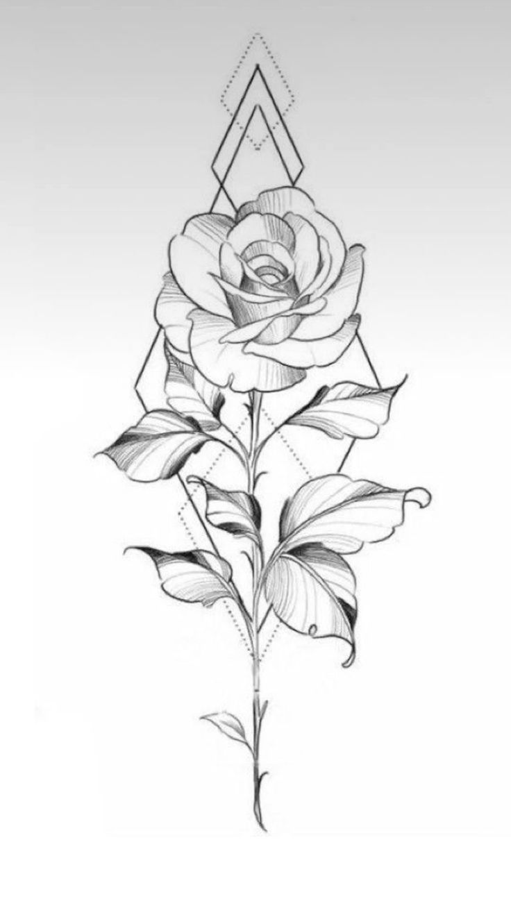 a drawing of a rose with geometric shapes on the side and leaves in the middle