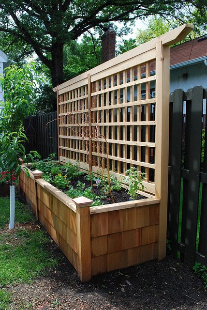 an outdoor garden with wooden planters and trelliss on the fenced in area