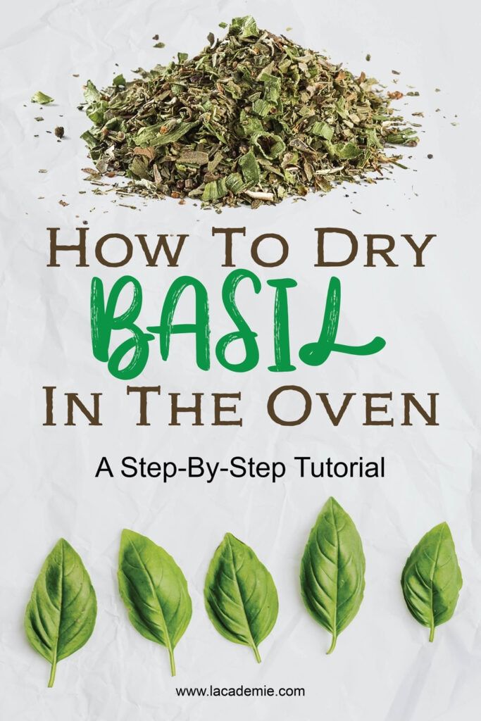 how to dry basil in the oven with step - by - step instructions for beginners