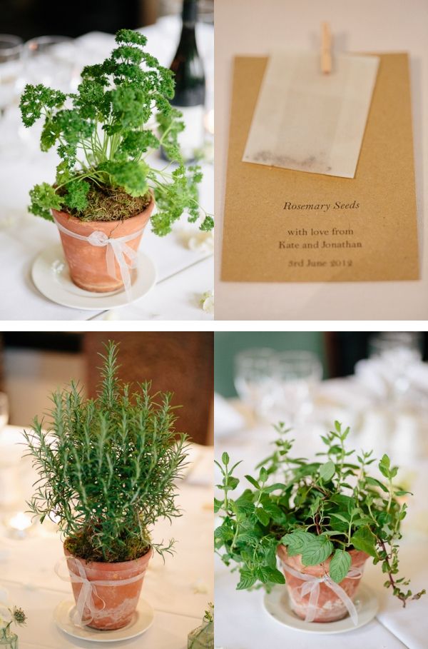 there are three different plants in small pots on the table, and one has a note pinned to it